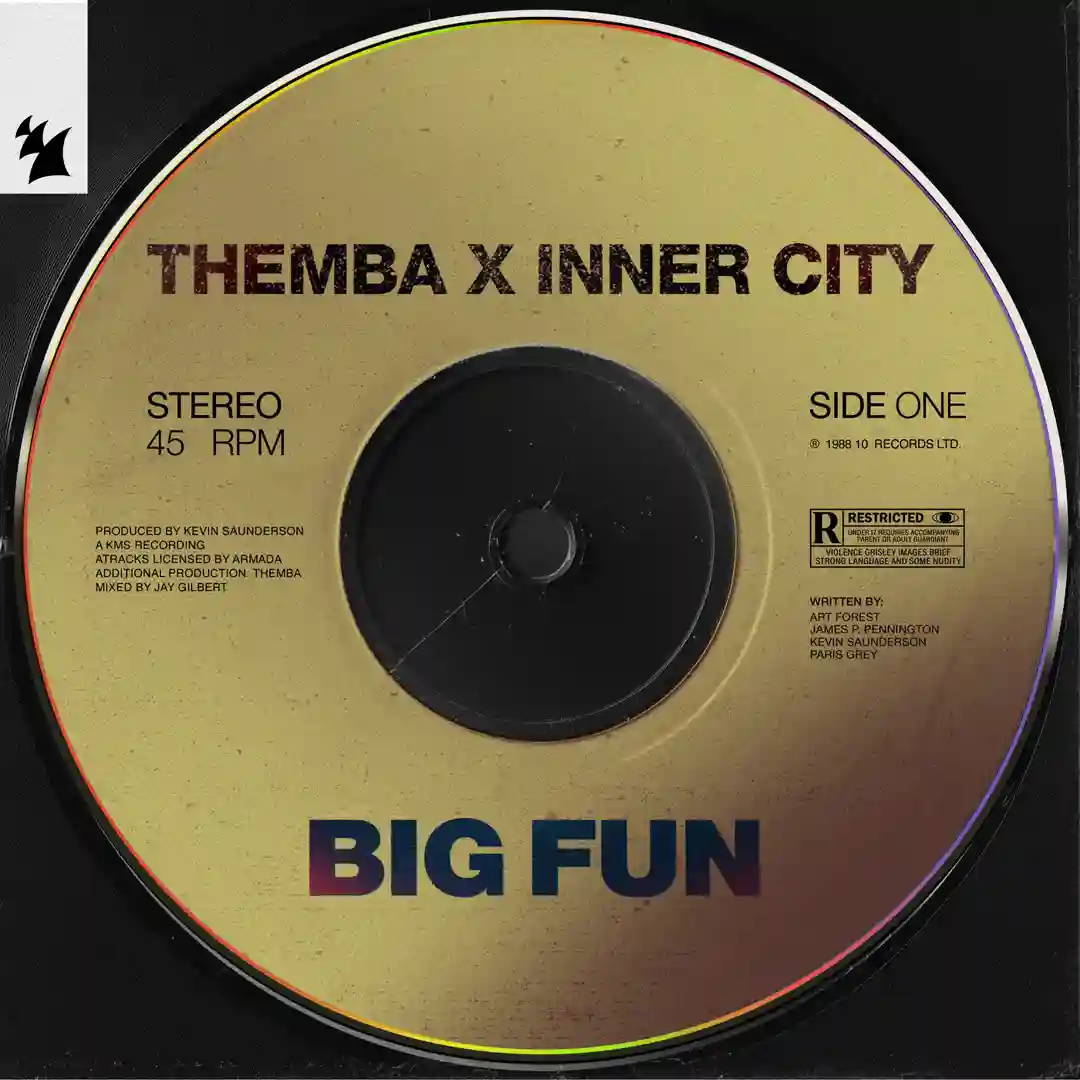 Big Fun (Extended Mix) cover