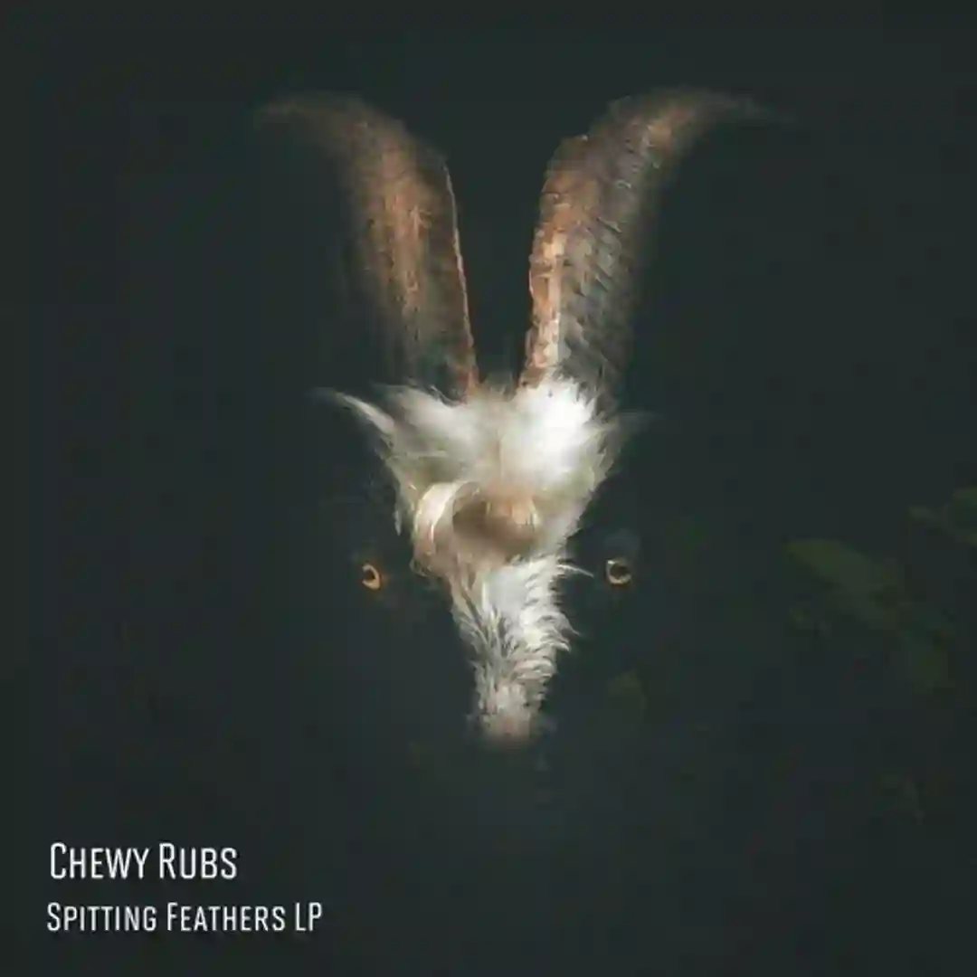 Spitting Feathers LP cover