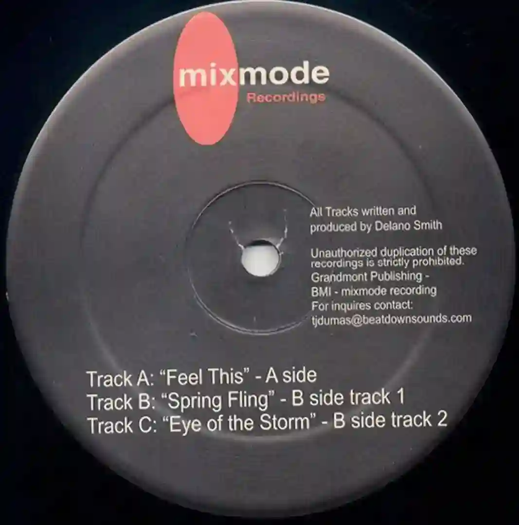 Spring Fling cover