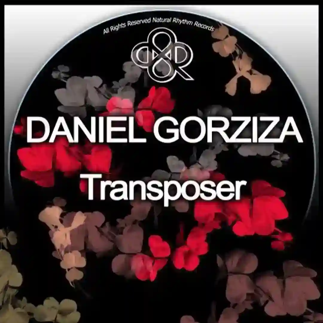 Transposer (Original Mix) cover