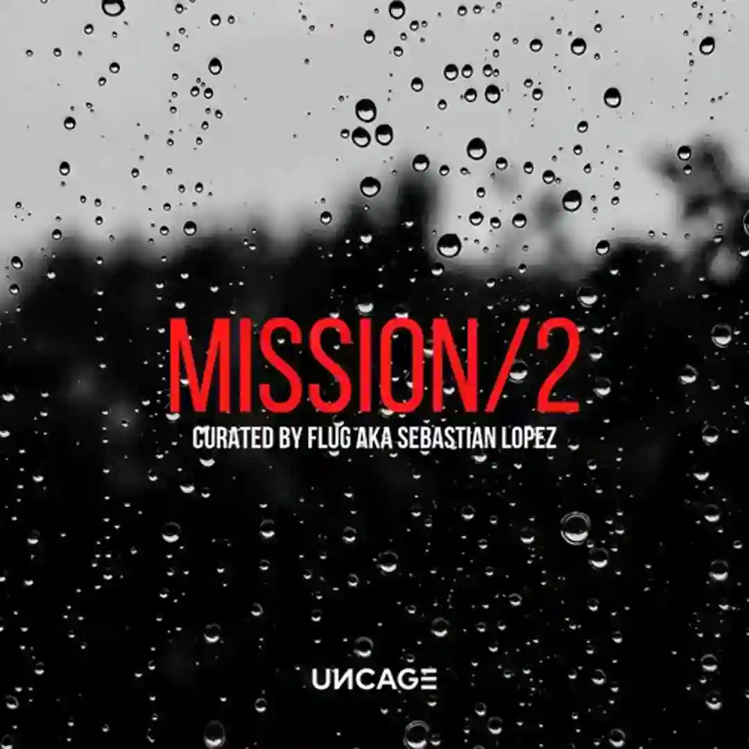 SRLX cover