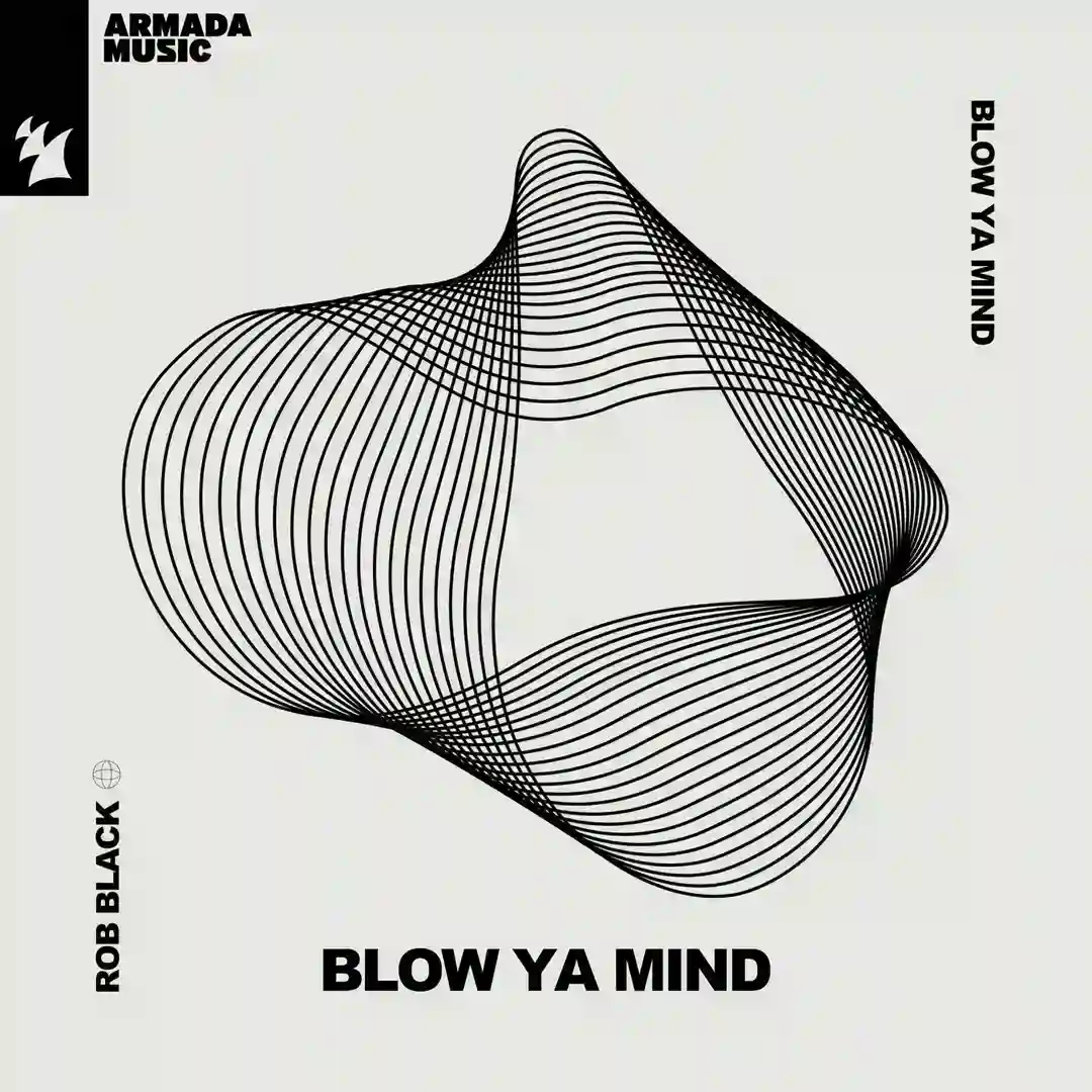 Blow Ya Mind cover