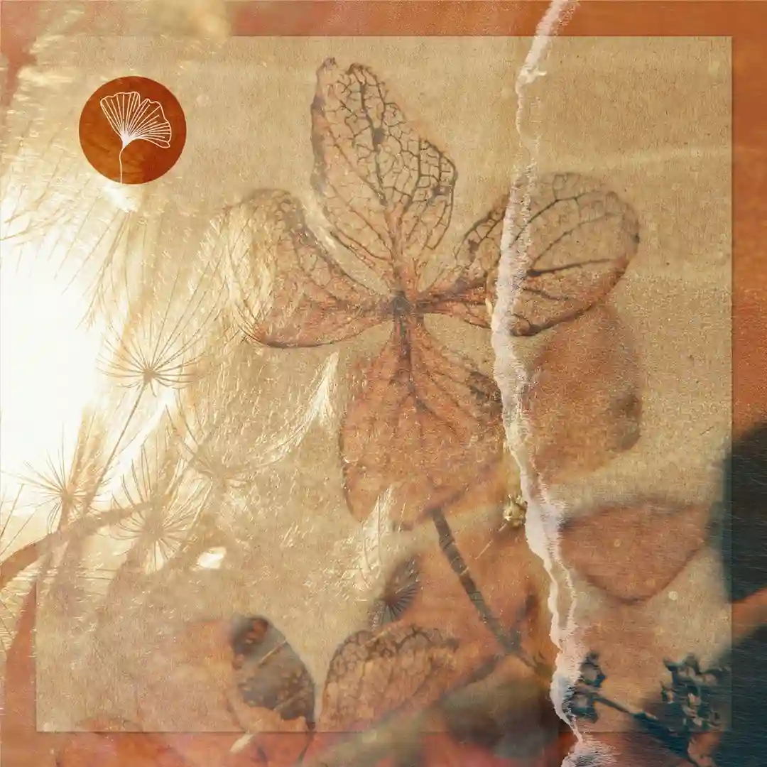 Unfurl (Original Mix) cover