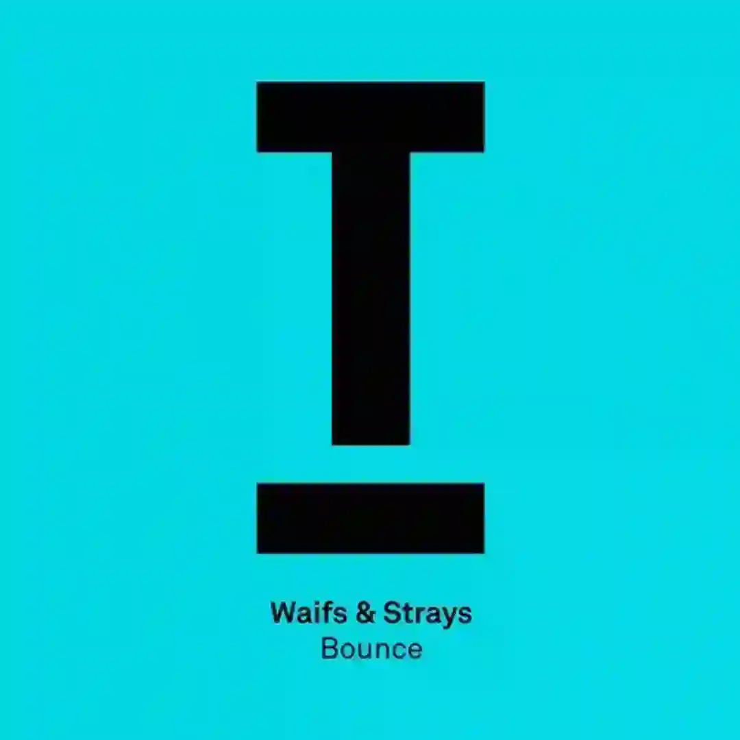 Bounce cover