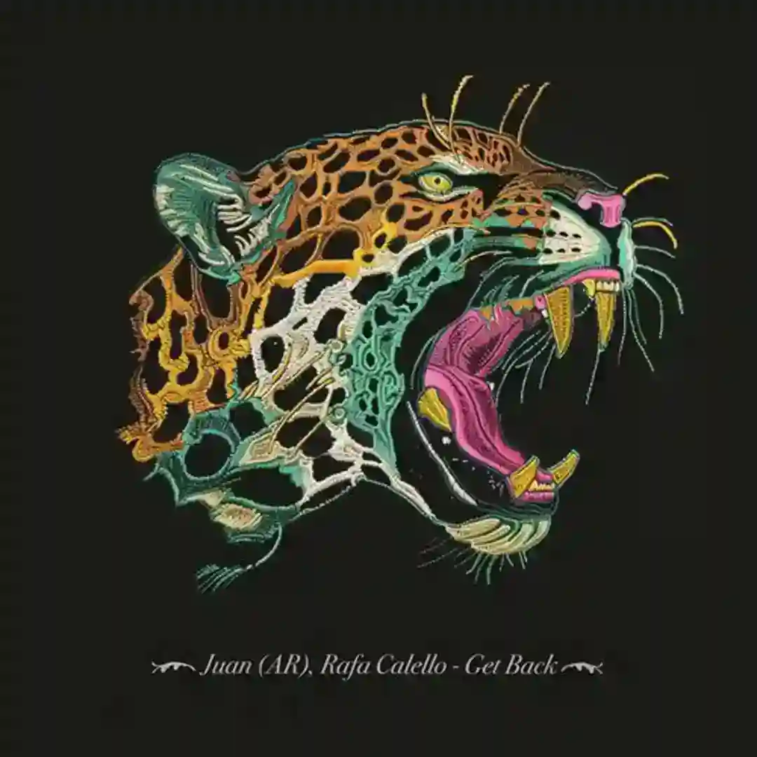 Get Back cover