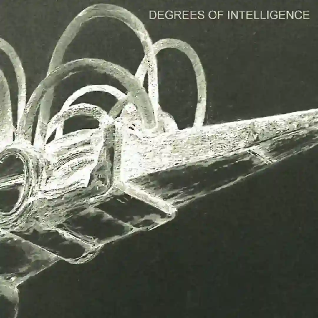 Five Degrees (Caibu Adjustment) cover