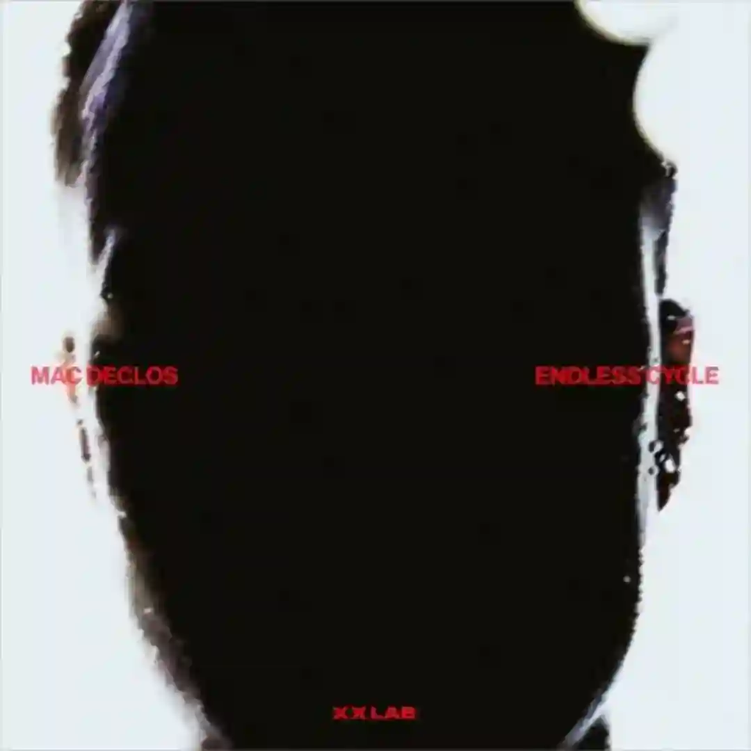 Intrepid X cover