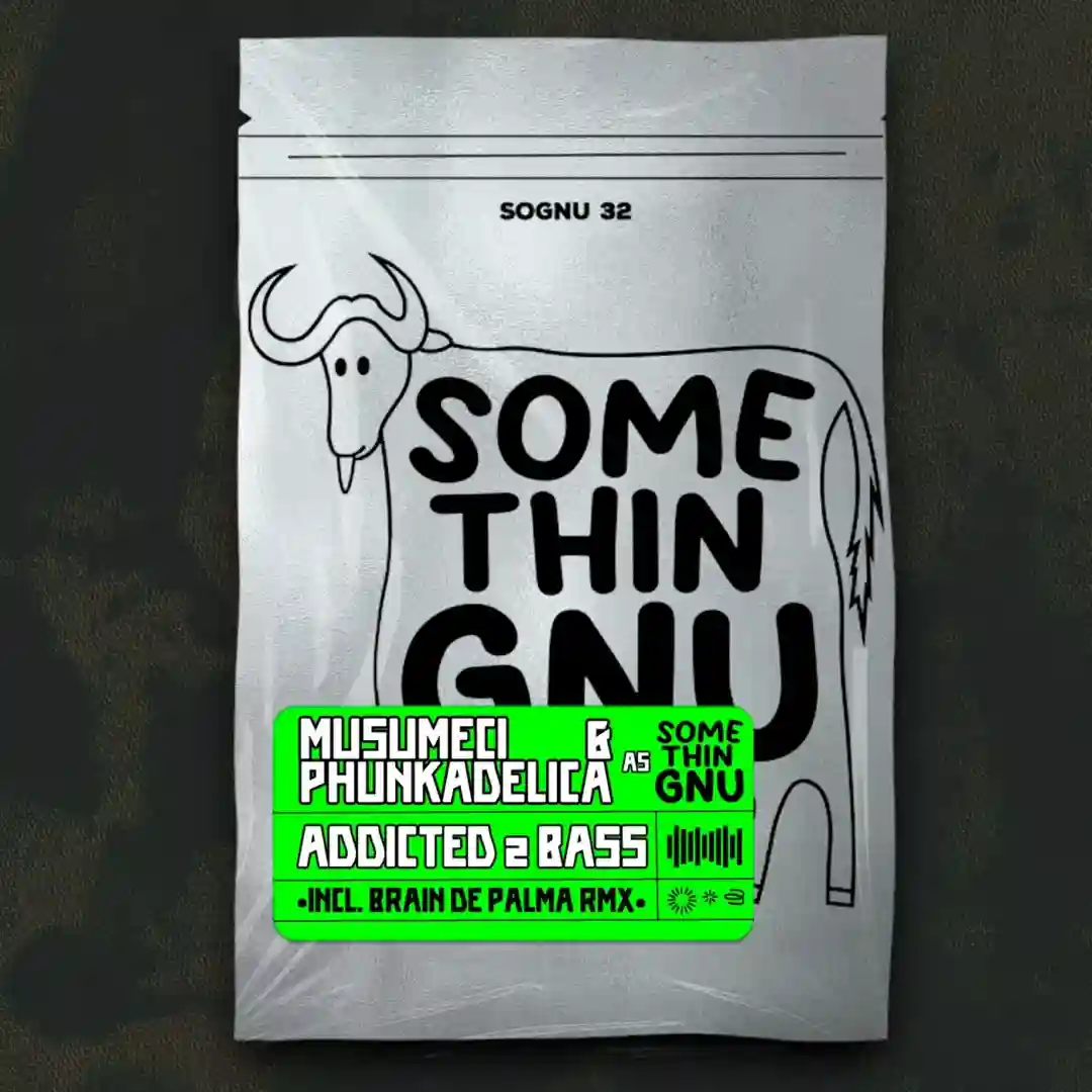 Addicted 2 Bass (Brain De Palma Remix) cover