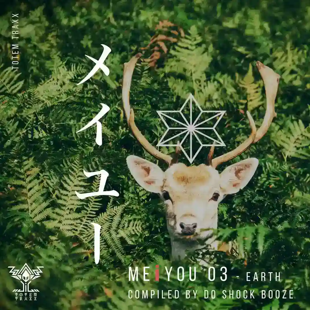 MEiYOU 03 earth cover