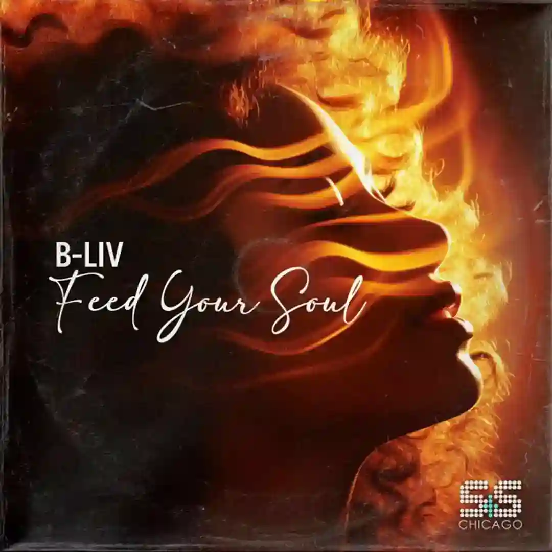 Feed Your Soul (Soul Side Instrumental) cover