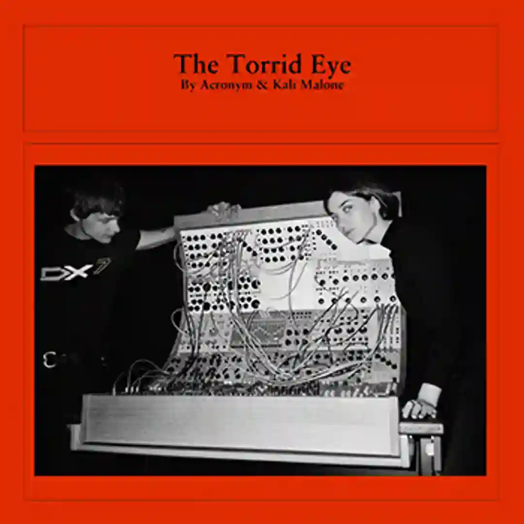 The Torrid Eye cover