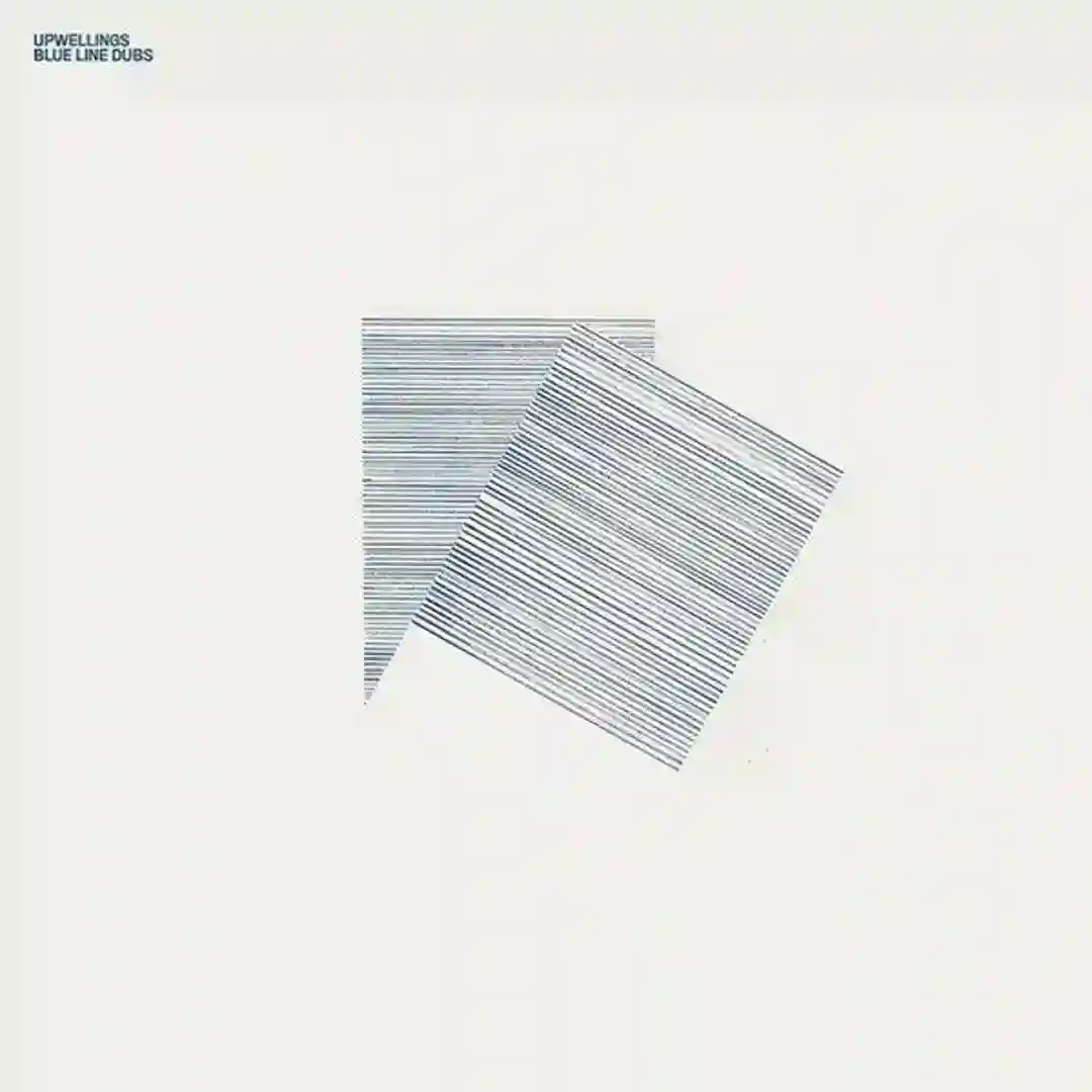 Remember Donau cover