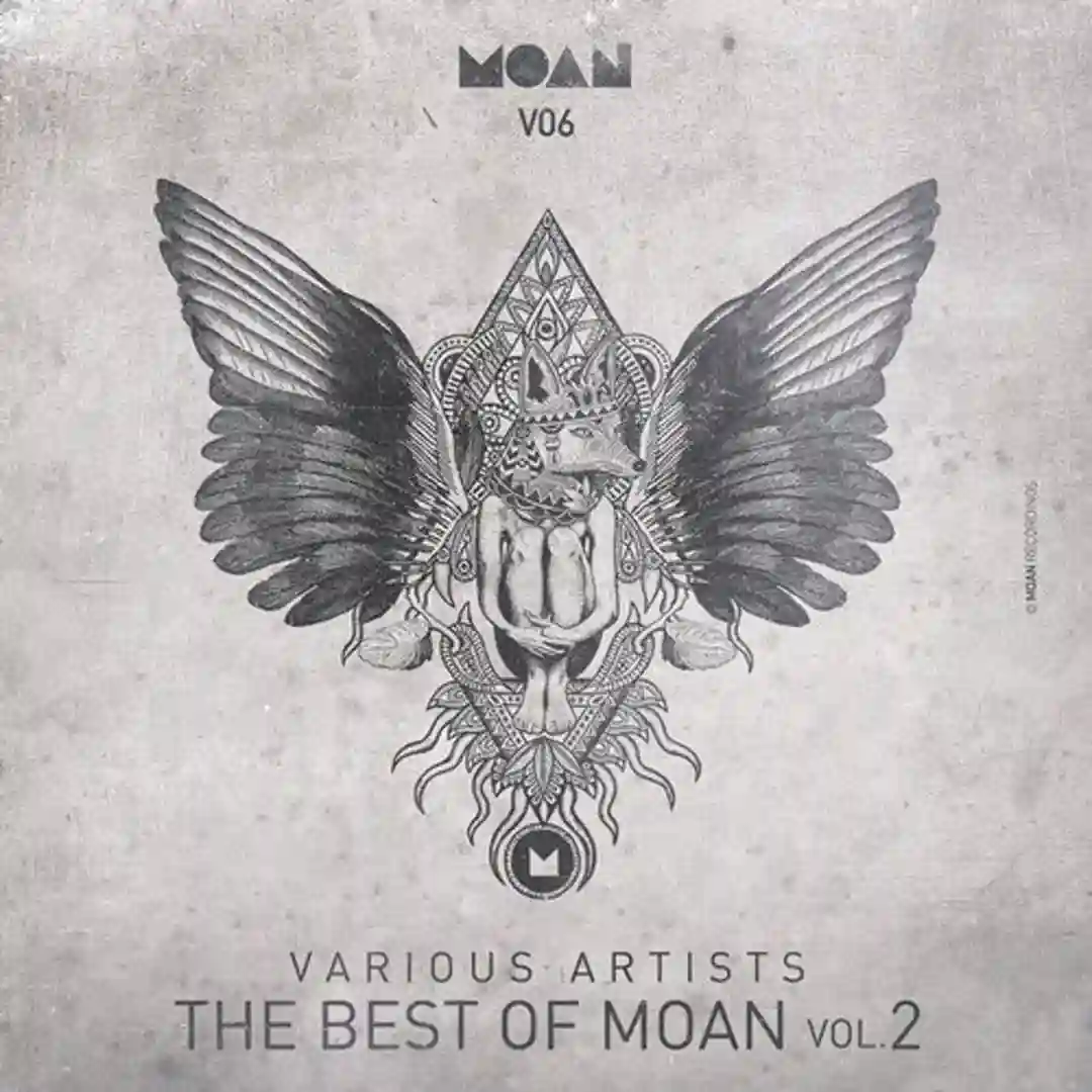Flashback (Original Mix) cover