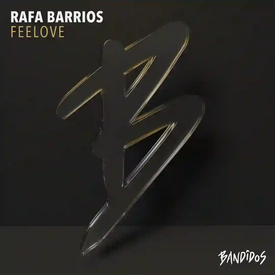 Feelove (Original Mix) cover