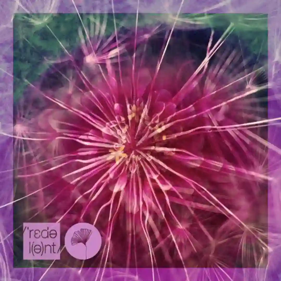 Wataki (Original Mix) cover
