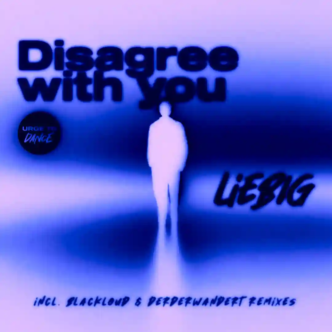 More (Original Mix) cover