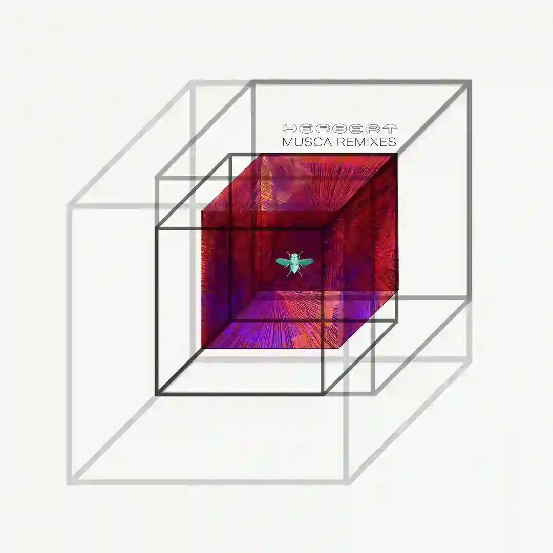 Two Doors (Mr. Mitch Remix) feat. Joy Morgan, Mr. Mitch cover