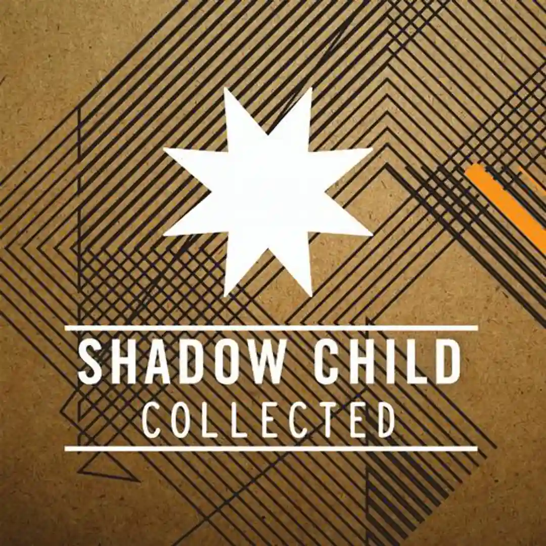 Reverse Skydiving (feat. Anabel Englund) (Shadow Child Remix) cover