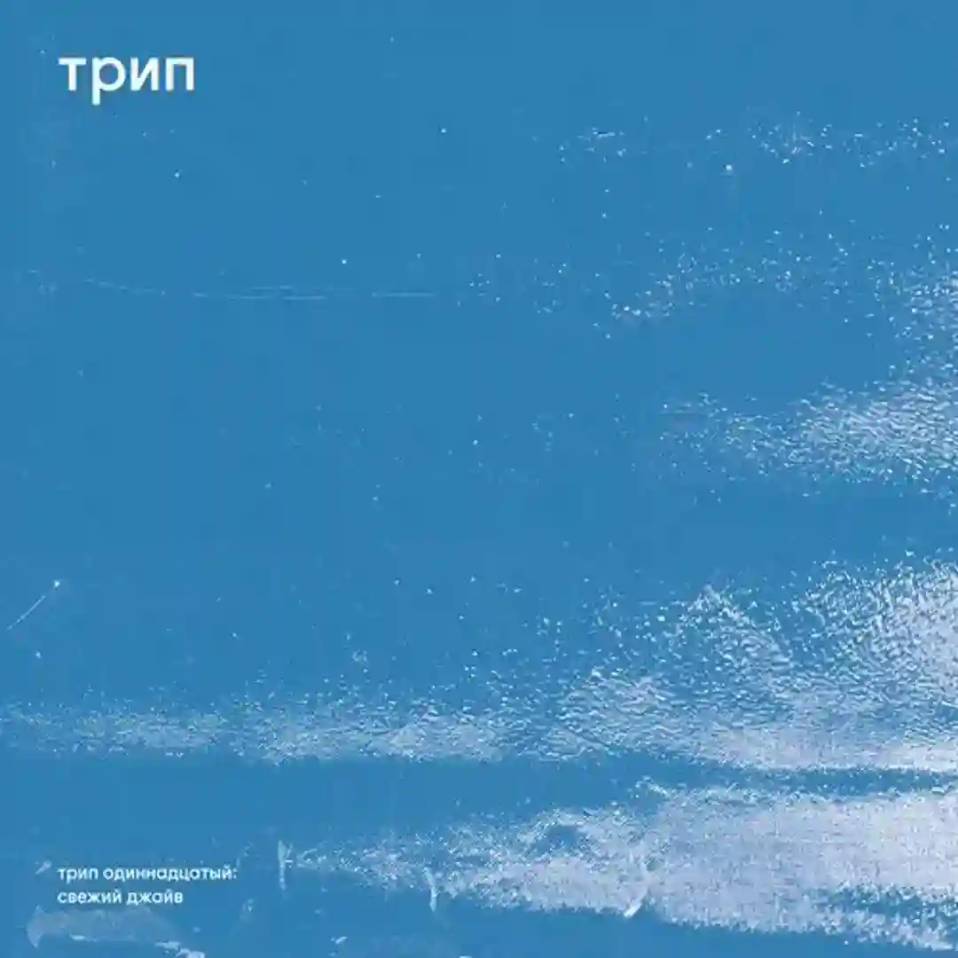 Fresh Jive cover