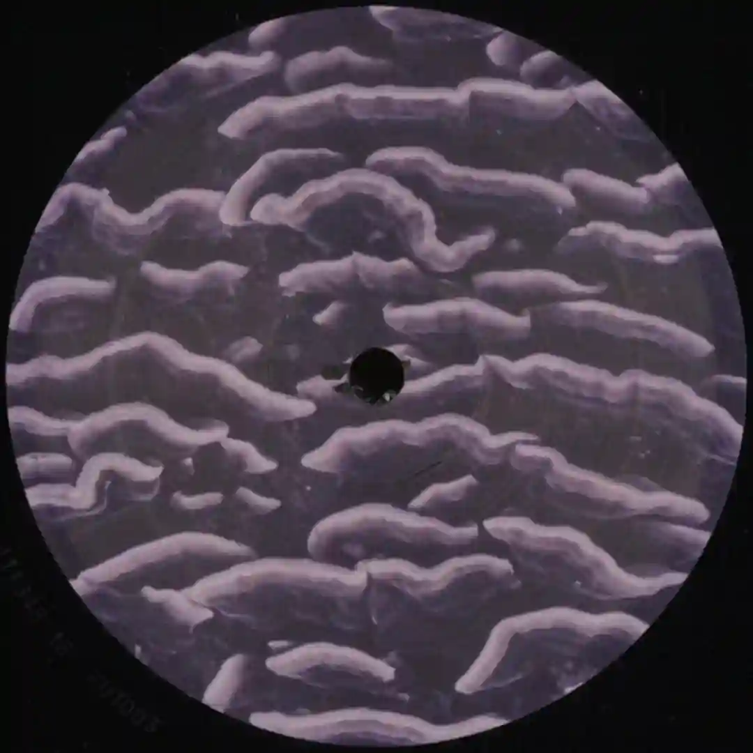 Strobo (Original Mix) cover