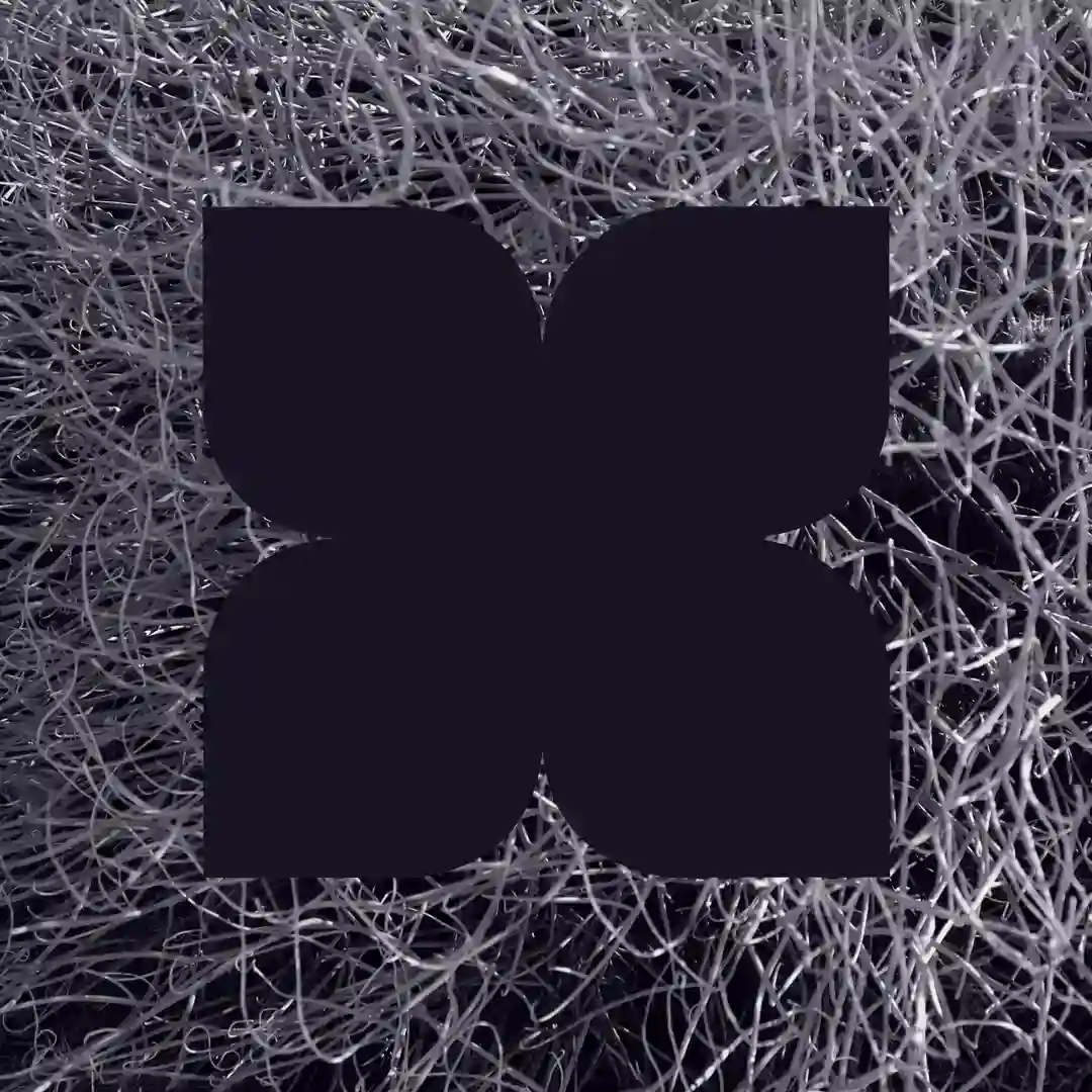 Noococ (Original Mix) cover