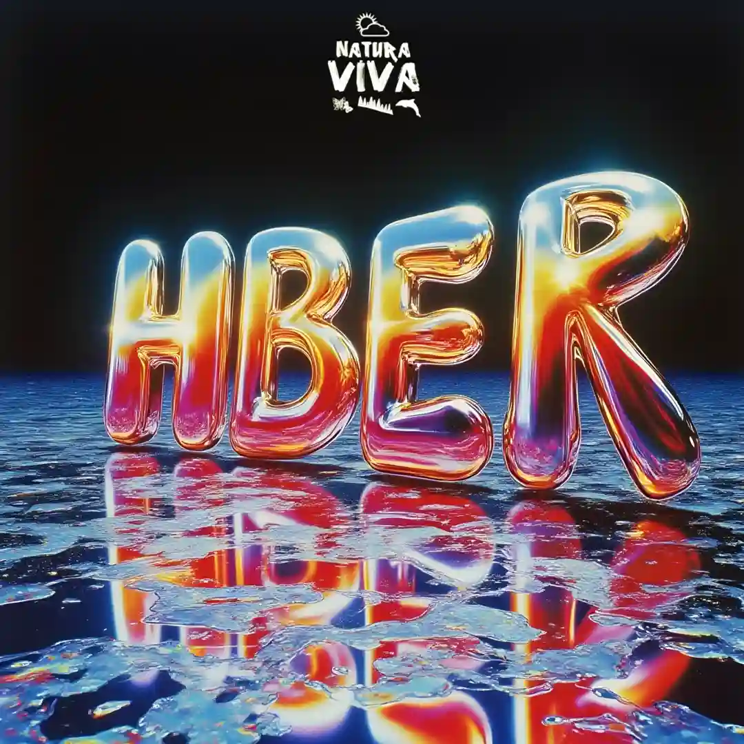 Reverse (Original mix) cover