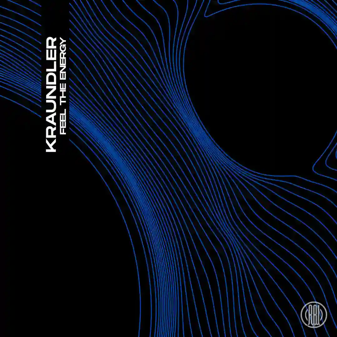 Feel The Energy (Original Mix) cover