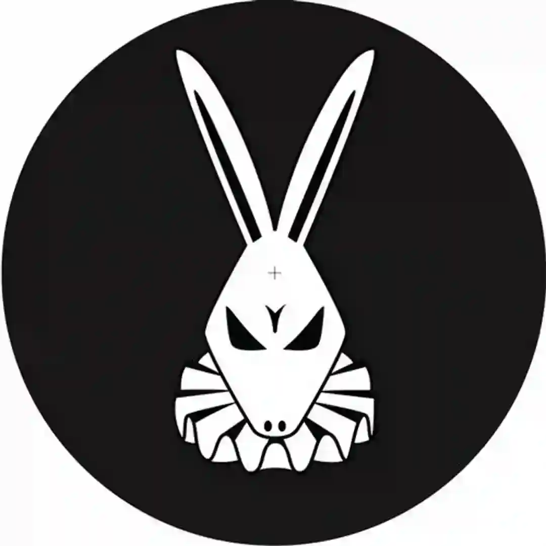 White Is The Rabbit cover