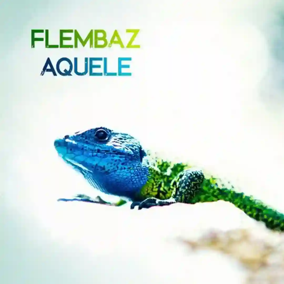 Aquele cover