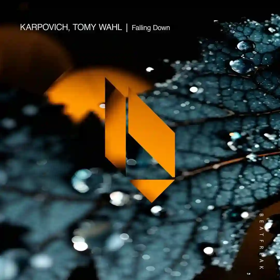 Last Night (Original Mix) cover