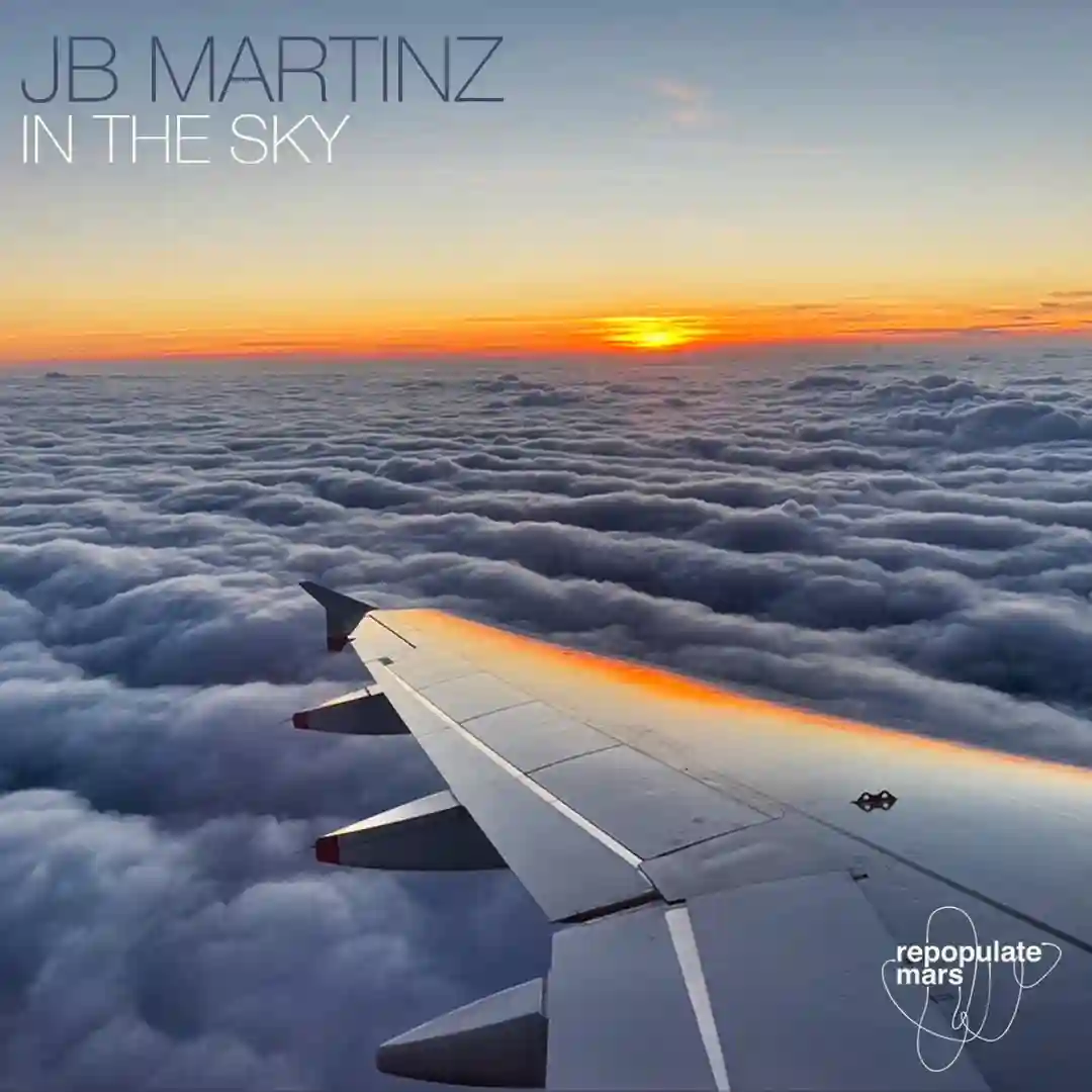 In The Sky (Original Mix) cover