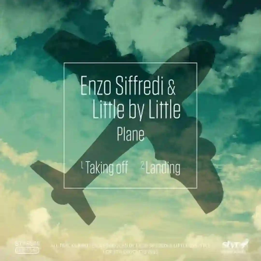 Plane cover