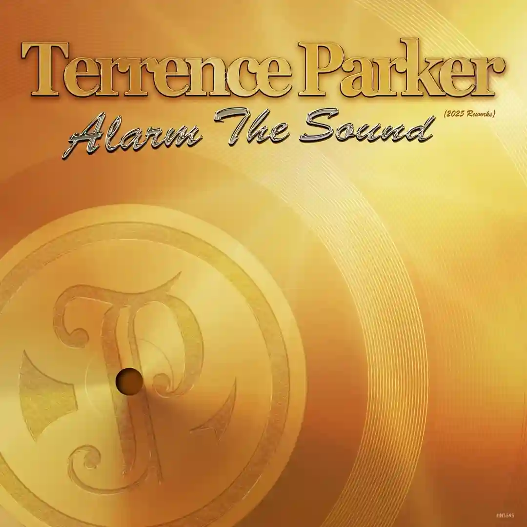 Alarm the Sound (TP 2025 Retro-Groove Rework) cover