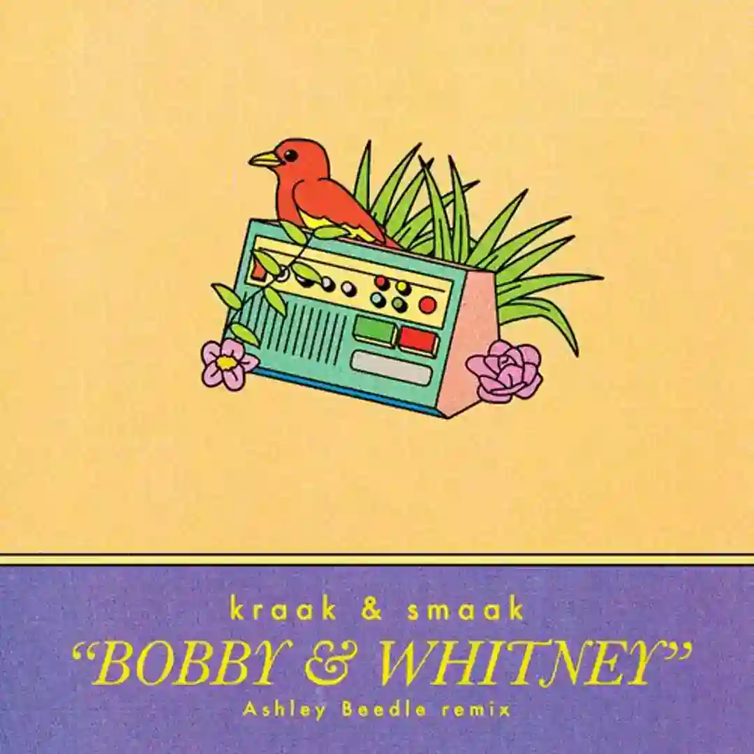 Bobby & Whitney (Ashley Beedle No' West Instrumental) cover