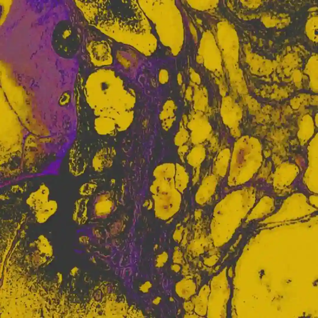 If You Remember The 90's You Weren't There cover