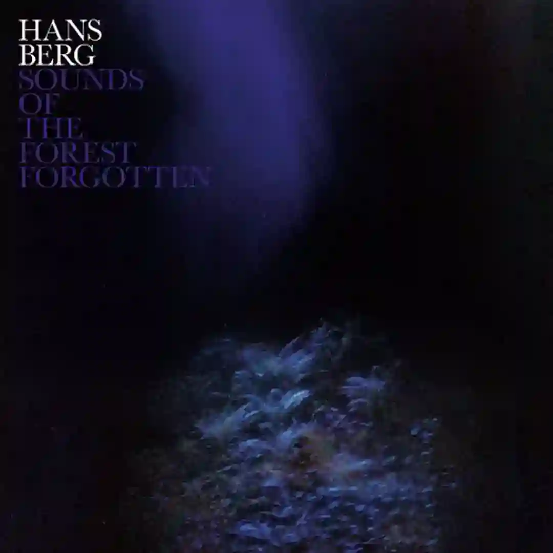 Sounds of the Forest Forgotten cover