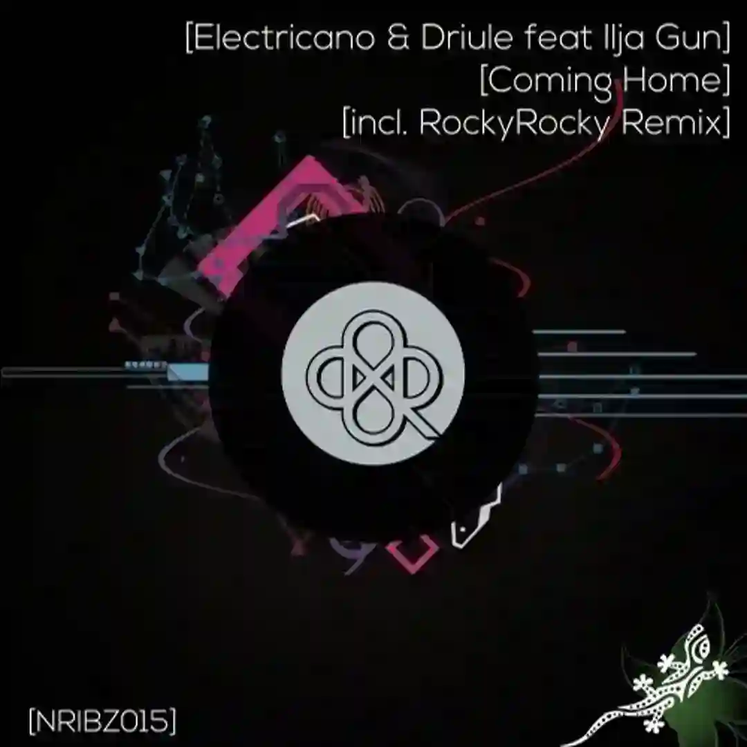 Coming Home (feat. Ilja Gun) (Original Mix) cover
