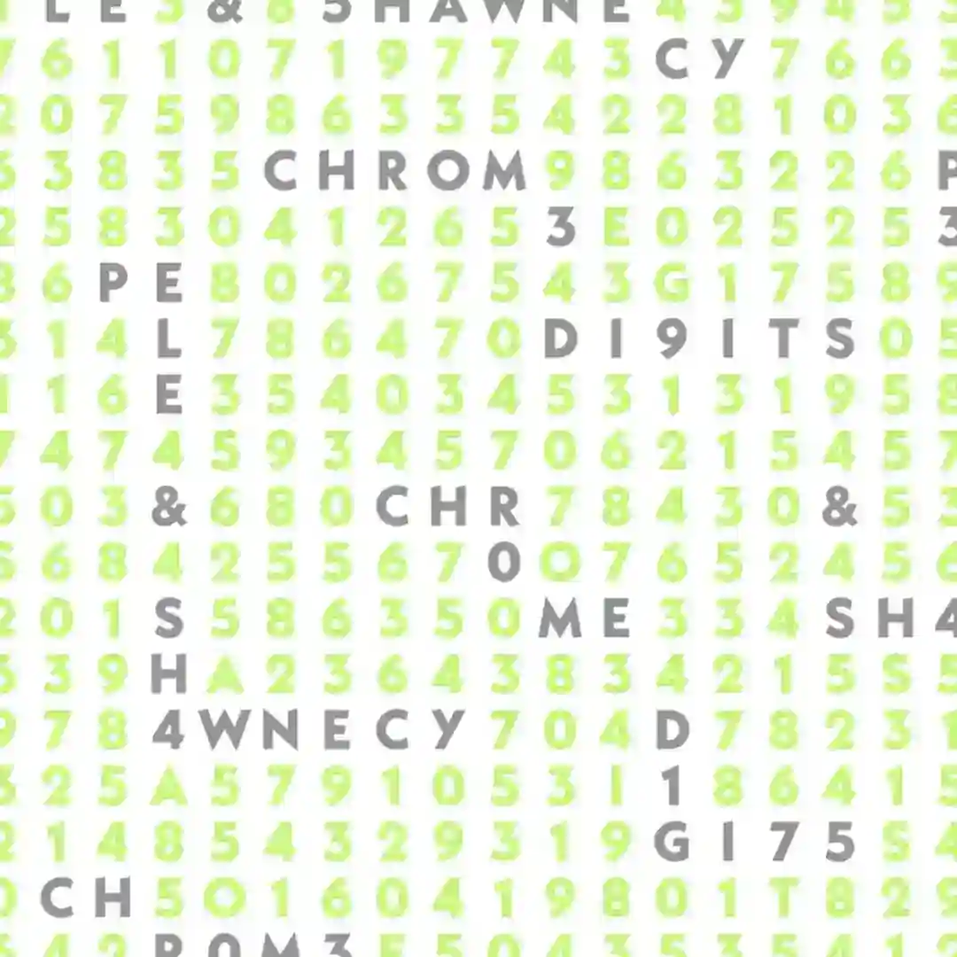 Chrome Digits EP cover