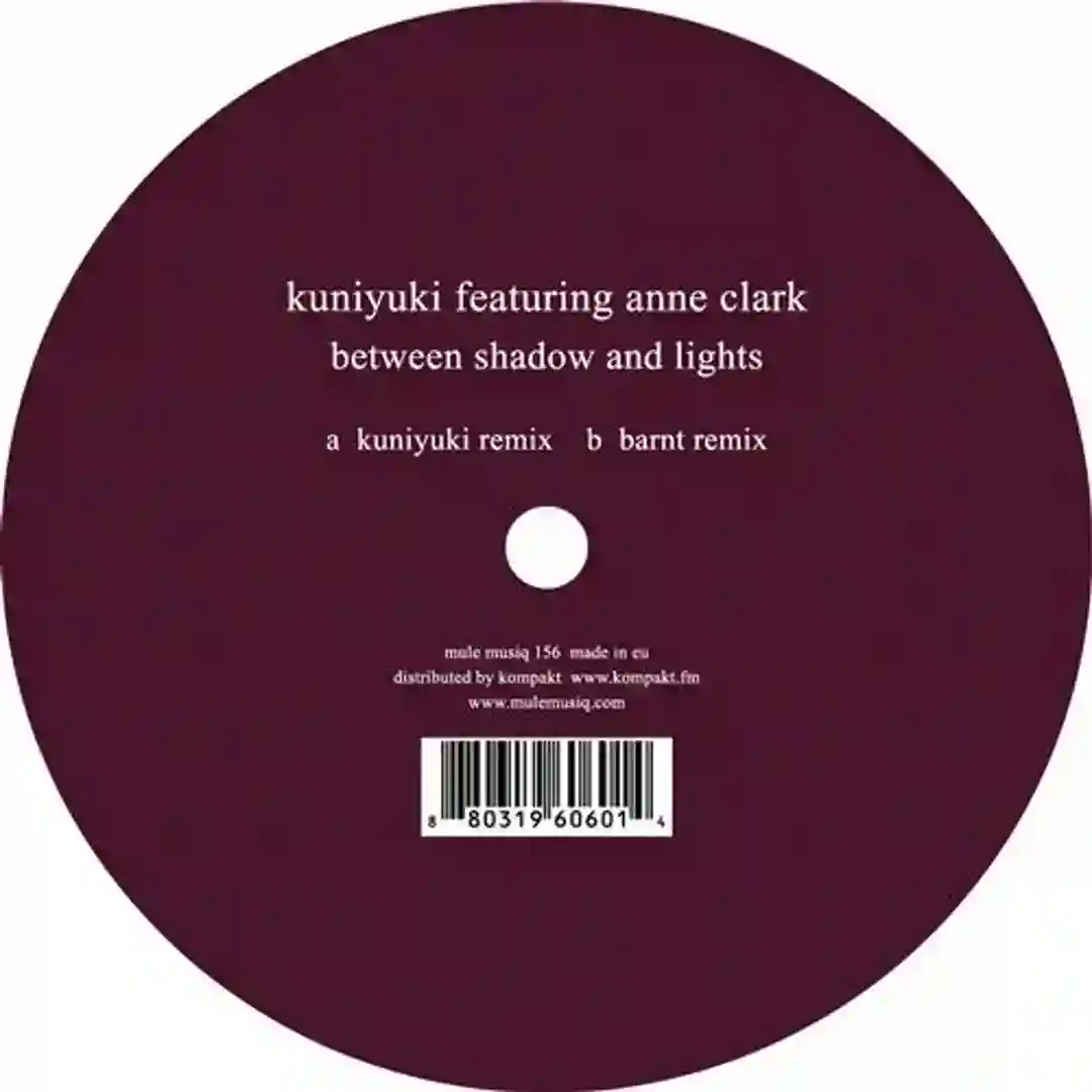 Between Shadow And Lights cover