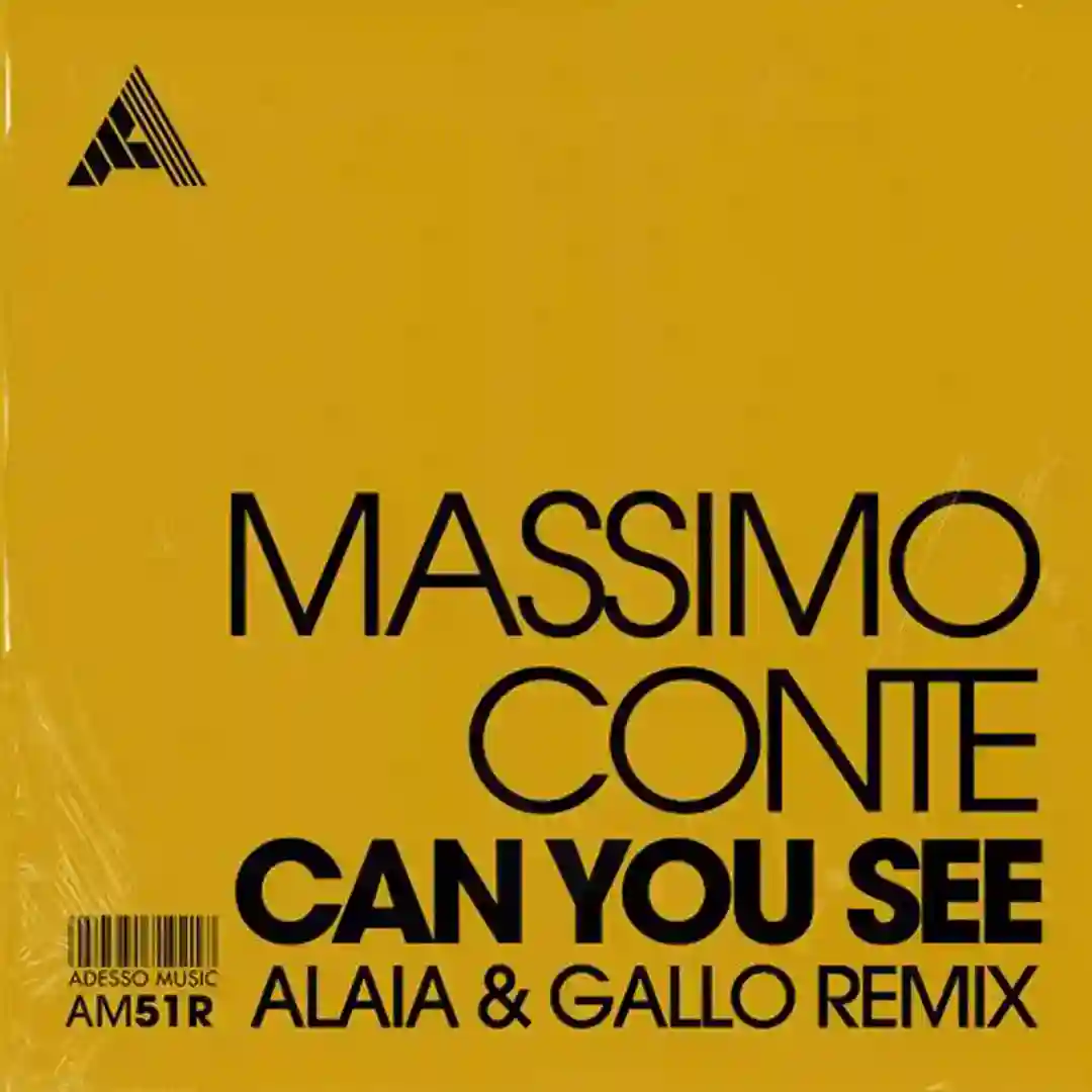 Can You See (Alaia & Gallo Remix) cover