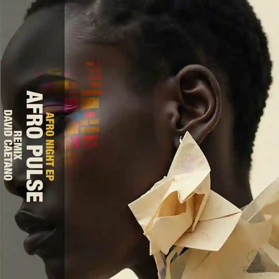 Afro Night (David Caetano Remix) cover