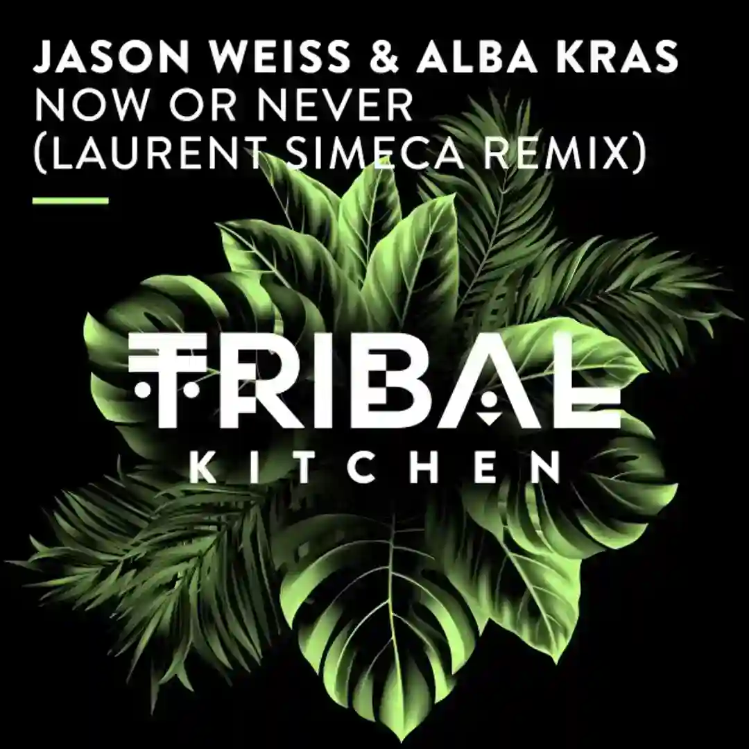 Now or Never (Laurent Simeca Remix) cover