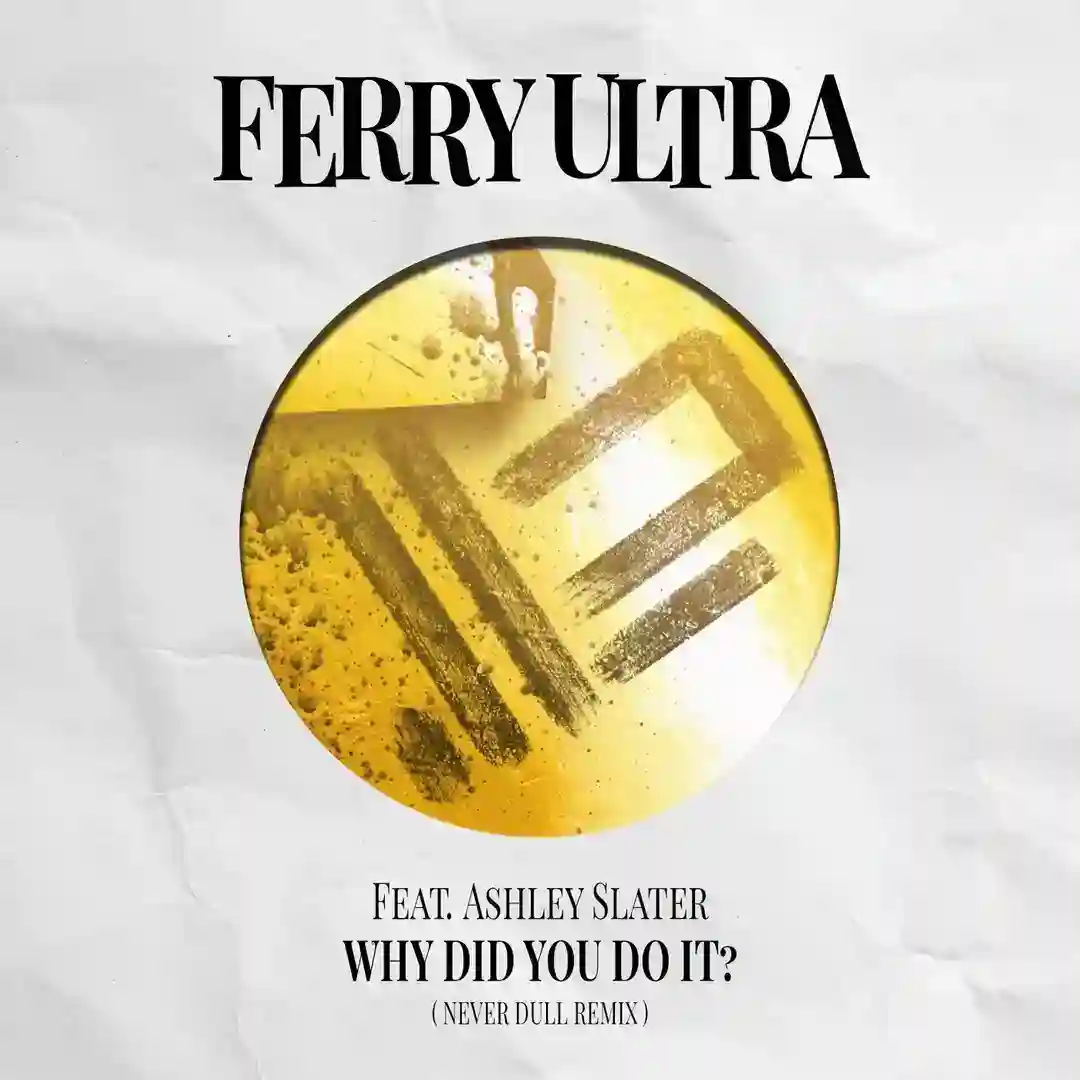 Why Did You Do It feat. Ashley Slater (Never Dull Remix Edit) cover