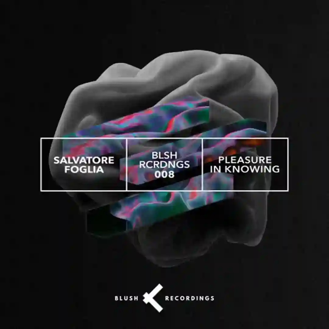 Pleasure in Knowing (Original Mix) cover