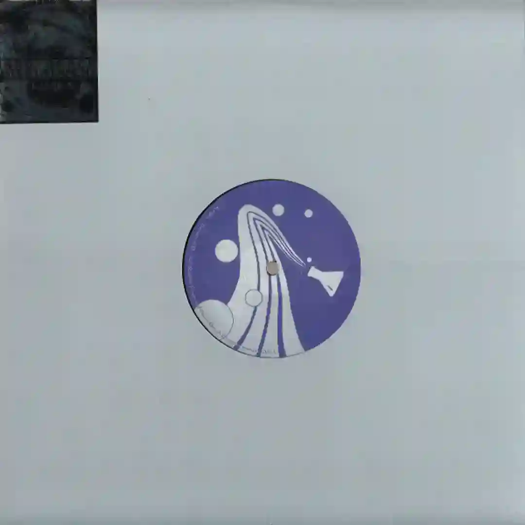 Psylocibe cover