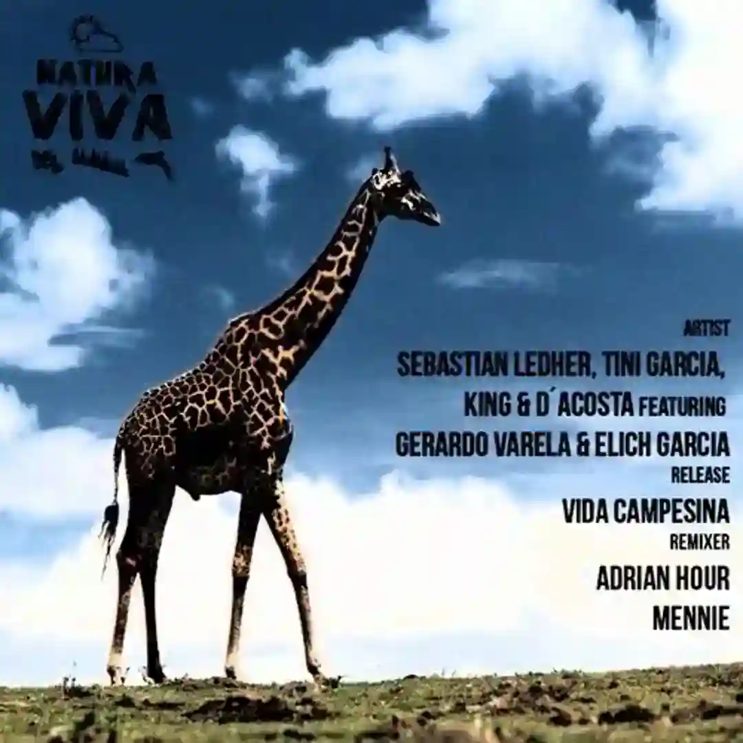 Vida Campesina (Original Mix) cover