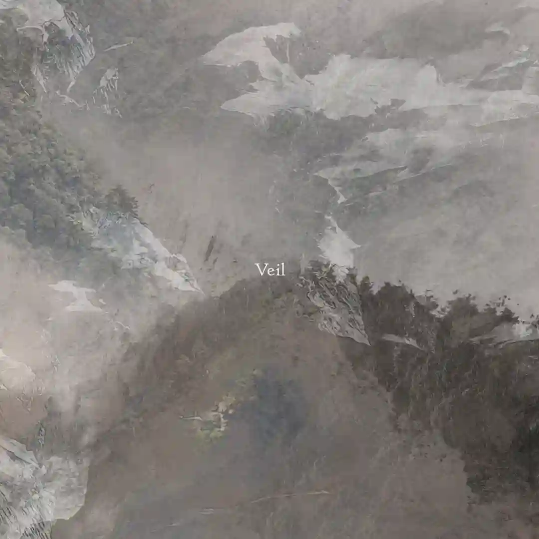 Veil cover