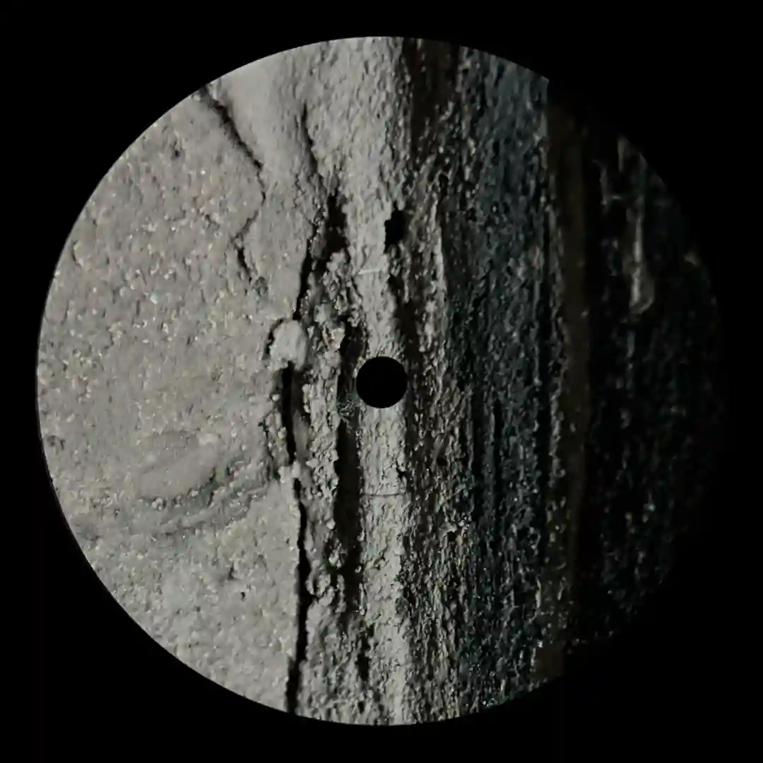 Moon (Original Mix) cover