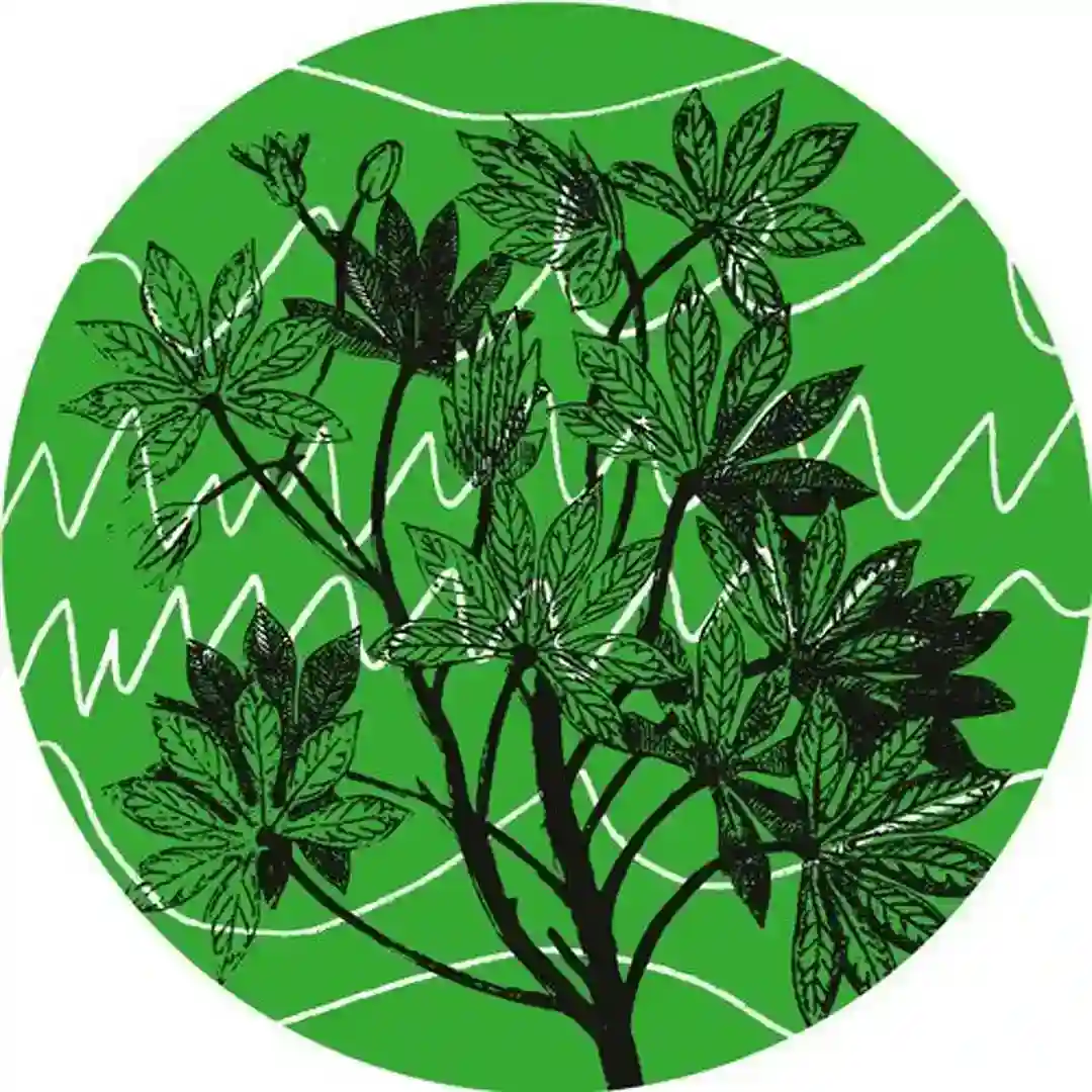 Brasil Novas Frequencias cover