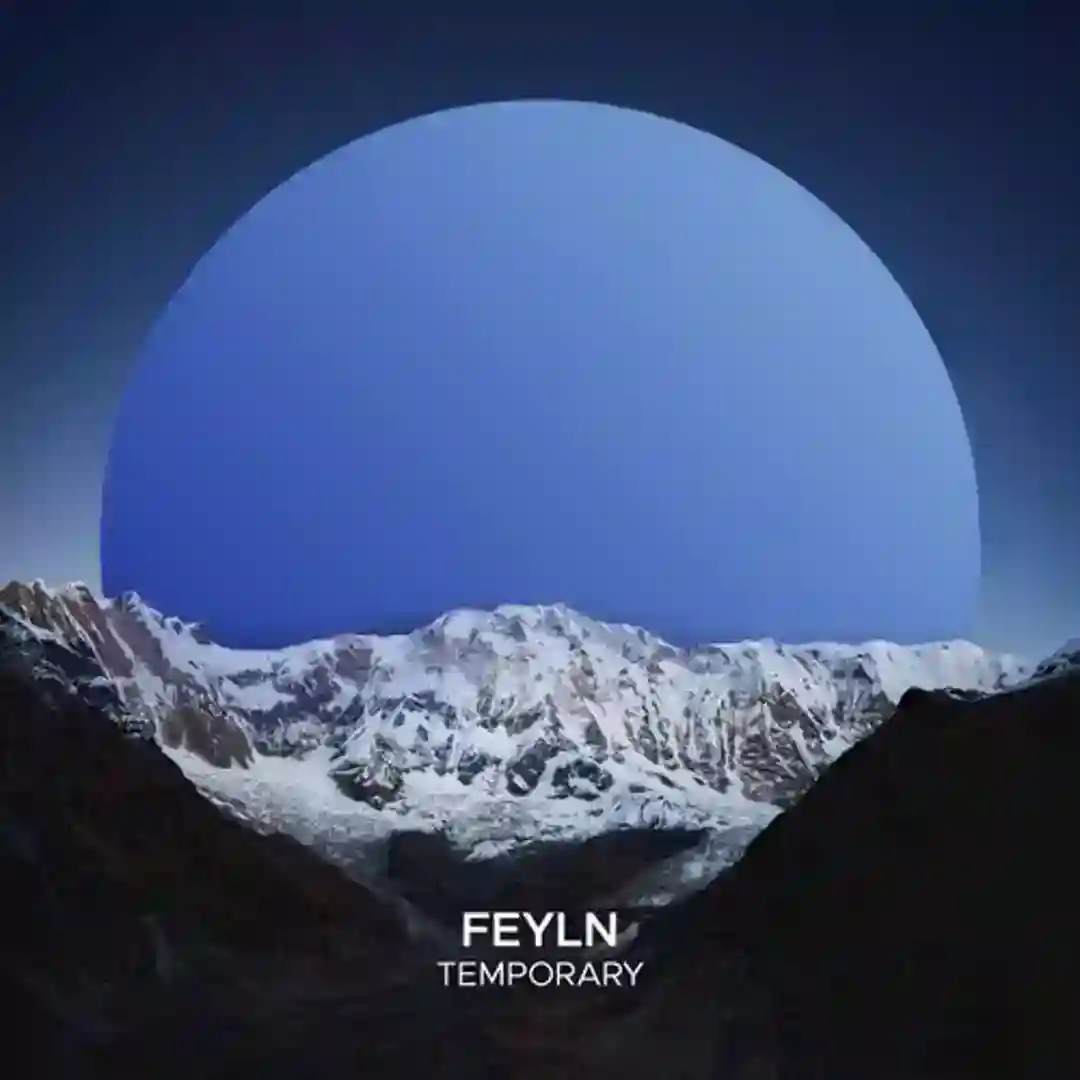 Polarity (Extended Mix) cover